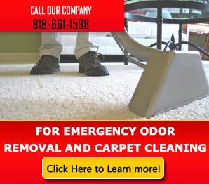 Home Carpet Cleaning - Carpet Cleaning Sylmar, CA
