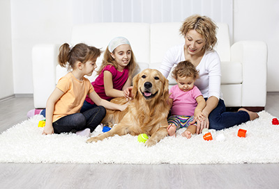 Carpet Cleaning Schedule