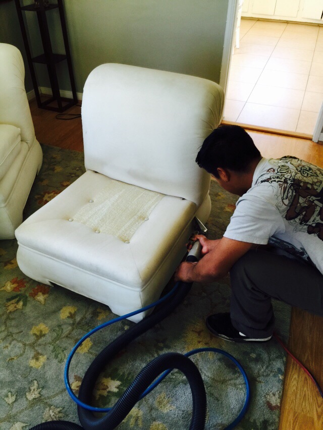 Upholstery Cleaning